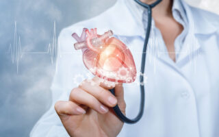 A doctor is touching a heart model with her stethoscope with the cardiac waveform at the foreground. The concept is the heart working process principle.